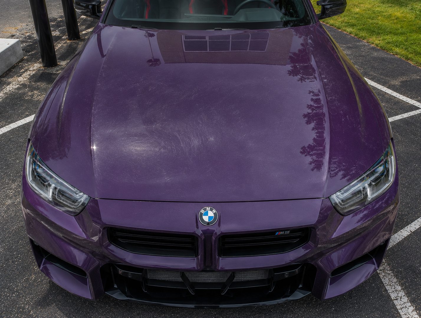 Paint before correction, hazy with swirl marks